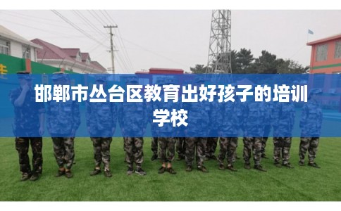 邯郸市丛台区教育出好孩子的培训学校 邯郸市丛台区教育出好孩子的培训学校