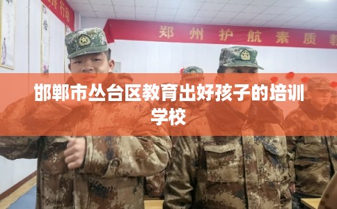 邯郸市丛台区教育出好孩子的培训学校 邯郸市丛台区教育出好孩子的培训学校
