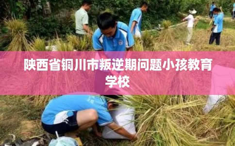 陕西省铜川市叛逆期问题小孩教育学校