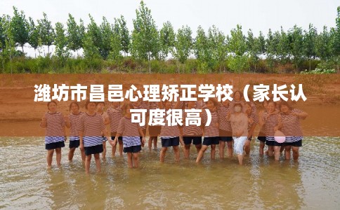 潍坊市昌邑心理矫正学校(家长认可度很高) 潍坊市昌邑心理矫正学校(家长认可度很高)