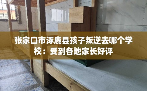 张家口市涿鹿县孩子叛逆去哪个学校：受到各地家长好评