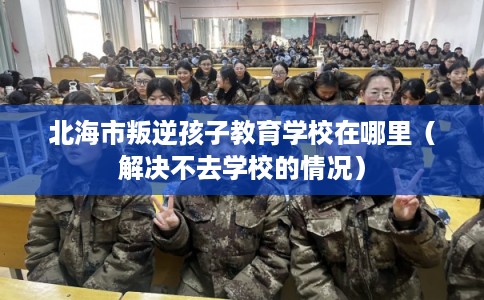北海市叛逆孩子教育学校在哪里（解决不去学校的情况）
