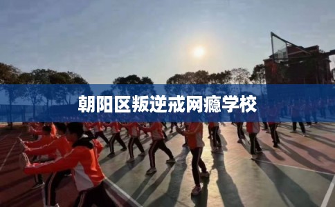 朝阳区叛逆戒网瘾学校