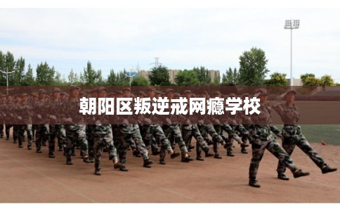 朝阳区叛逆戒网瘾学校