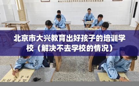 北京市大兴教育出好孩子的培训学校（解决不去学校的情况）