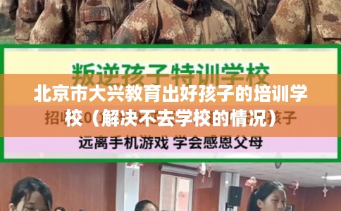 北京市大兴教育出好孩子的培训学校（解决不去学校的情况）