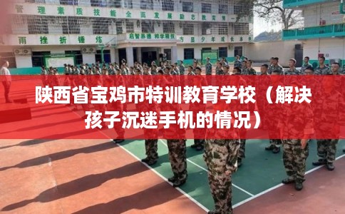 陕西省宝鸡市特训教育学校（解决孩子沉迷手机的情况）