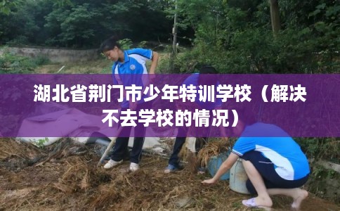 湖北省荆门市少年特训学校（解决不去学校的情况）