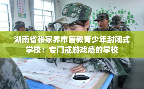 湖南省张家界市管教青少年封闭式学校：专门戒游戏瘾的学校