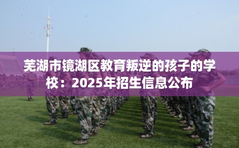 芜湖市镜湖区教育叛逆的孩子的学校：2025年招生信息公布