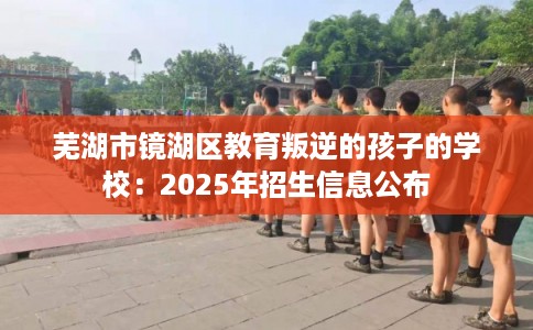 芜湖市镜湖区教育叛逆的孩子的学校：2025年招生信息公布