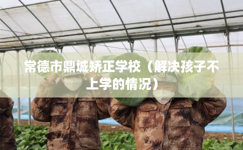 常德市鼎城矫正学校(解决孩子不上学的情况) 常德市鼎城矫正学校(解决孩子不上学的情况)