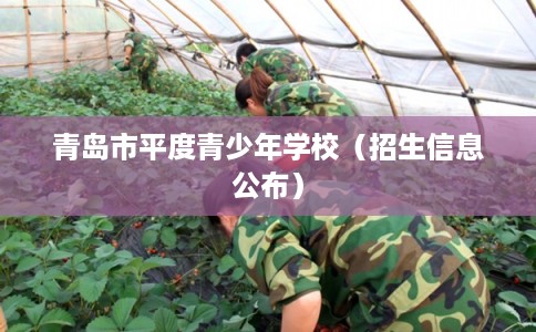 青岛市平度青少年学校(招生信息公布) 青岛市平度青少年学校(招生信息公布)