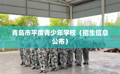 青岛市平度青少年学校(招生信息公布) 青岛市平度青少年学校(招生信息公布)