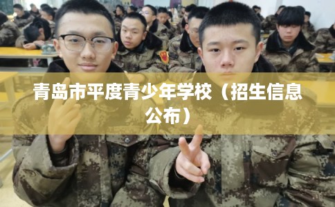 青岛市平度青少年学校(招生信息公布) 青岛市平度青少年学校(招生信息公布)