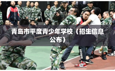 青岛市平度青少年学校(招生信息公布) 青岛市平度青少年学校(招生信息公布)