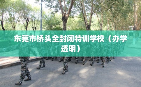 东莞市桥头全封闭特训学校(办学透明) 东莞市桥头全封闭特训学校(办学透明)