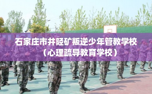 石家庄市井陉矿叛逆少年管教学校(心理疏导教育学校) 石家庄市井陉矿叛逆少年管教学校(心理疏导教育学校)