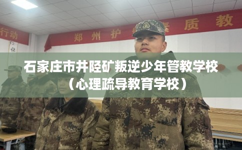 石家庄市井陉矿叛逆少年管教学校(心理疏导教育学校) 石家庄市井陉矿叛逆少年管教学校(心理疏导教育学校)
