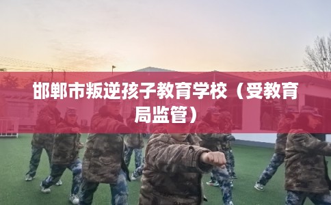 邯郸市叛逆孩子教育学校(受教育局监管) 邯郸市叛逆孩子教育学校(受教育局监管)