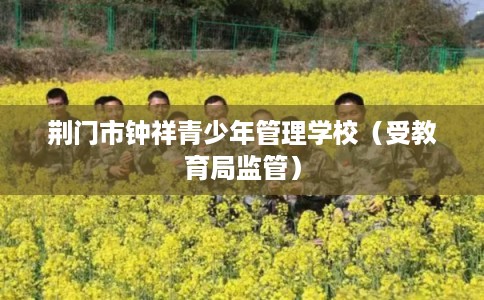 荆门市钟祥青少年管理学校(受教育局监管) 荆门市钟祥青少年管理学校(受教育局监管)