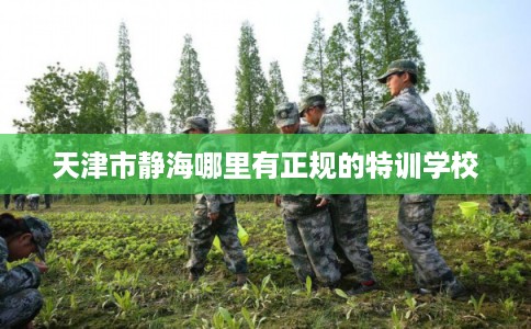 天津市静海哪里有正规的特训学校 天津市静海哪里有正规的特训学校