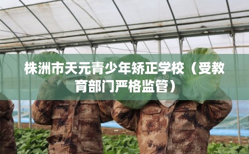 株洲市天元青少年矫正学校(受教育部门严格监管) 株洲市天元青少年矫正学校(受教育部门严格监管)