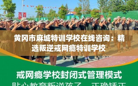 黄冈市麻城特训学校在线咨询:精选叛逆戒网瘾特训学校 黄冈市麻城特训学校在线咨询:精选叛逆戒网瘾特训学校