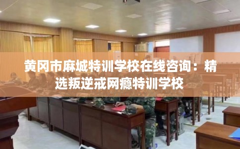 黄冈市麻城特训学校在线咨询:精选叛逆戒网瘾特训学校 黄冈市麻城特训学校在线咨询:精选叛逆戒网瘾特训学校