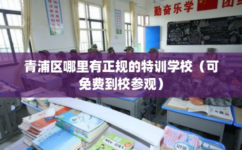 青浦区哪里有正规的特训学校(可免费到校参观) 青浦区哪里有正规的特训学校(可免费到校参观)