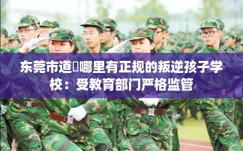东莞市道滘哪里有正规的叛逆孩子学校:受教育部门严格监管 东莞市道滘哪里有正规的叛逆孩子学校:受教育部门严格监管