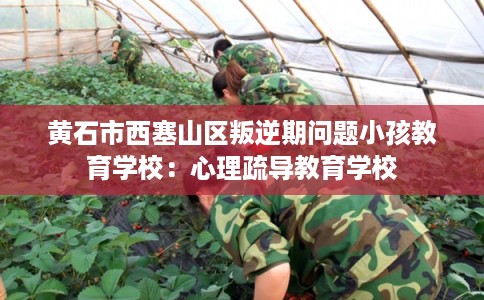 黄石市西塞山区叛逆期问题小孩教育学校:心理疏导教育学校 黄石市西塞山区叛逆期问题小孩教育学校:心理疏导教育学校