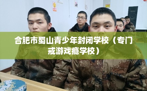 合肥市蜀山青少年封闭学校(专门戒游戏瘾学校) 合肥市蜀山青少年封闭学校(专门戒游戏瘾学校)