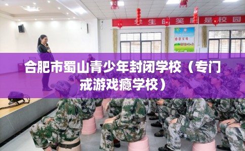 合肥市蜀山青少年封闭学校(专门戒游戏瘾学校) 合肥市蜀山青少年封闭学校(专门戒游戏瘾学校)