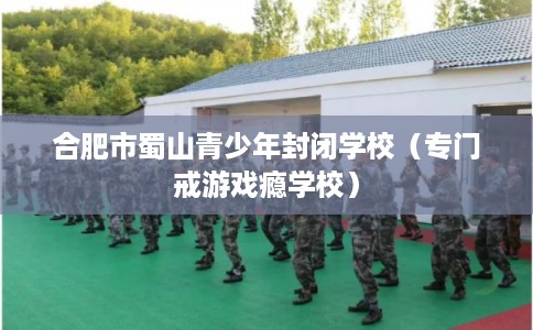 合肥市蜀山青少年封闭学校(专门戒游戏瘾学校) 合肥市蜀山青少年封闭学校(专门戒游戏瘾学校)