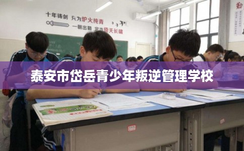 泰安市岱岳青少年叛逆管理学校 泰安市岱岳青少年叛逆管理学校