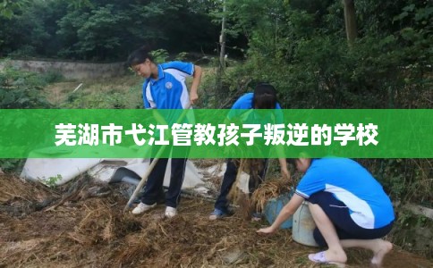 芜湖市弋江管教孩子叛逆的学校 芜湖市弋江管教孩子叛逆的学校