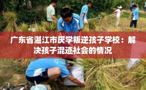 广东省湛江市厌学叛逆孩子学校:解决孩子混迹社会的情况 广东省湛江市厌学叛逆孩子学校:解决孩子混迹社会的情况