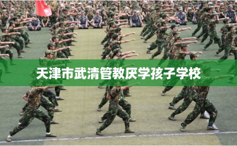 天津市武清管教厌学孩子学校 天津市武清管教厌学孩子学校