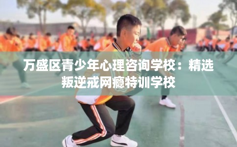万盛区青少年心理咨询学校:精选叛逆戒网瘾特训学校 万盛区青少年心理咨询学校:精选叛逆戒网瘾特训学校