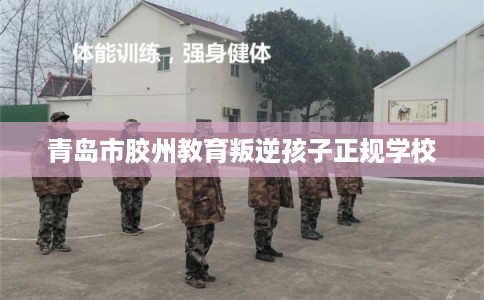青岛市胶州教育叛逆孩子正规学校 青岛市胶州教育叛逆孩子正规学校