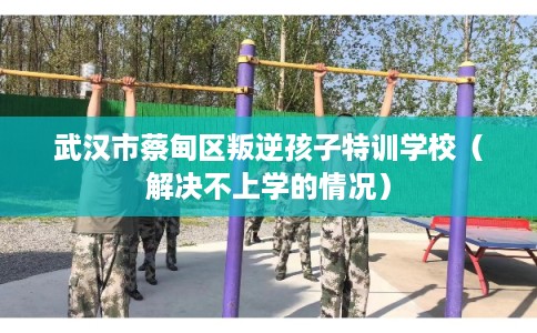 武汉市蔡甸区叛逆孩子特训学校(解决不上学的情况) 武汉市蔡甸区叛逆孩子特训学校(解决不上学的情况)