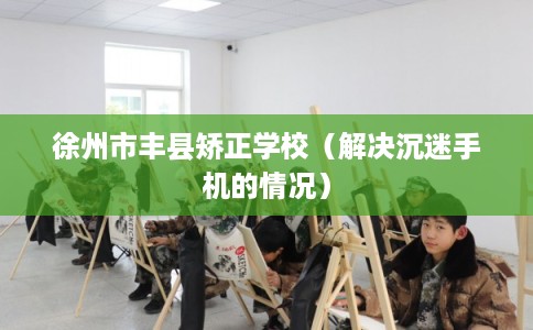 徐州市丰县矫正学校(解决沉迷手机的情况) 徐州市丰县矫正学校(解决沉迷手机的情况)