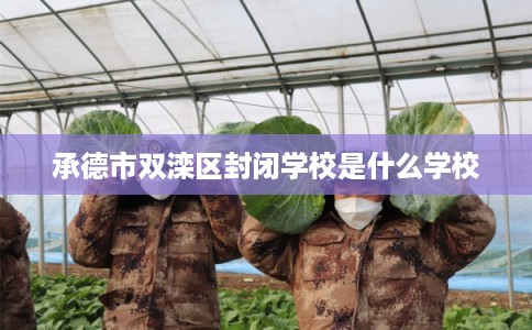 承德市双滦区封闭学校是什么学校 承德市双滦区封闭学校是什么学校