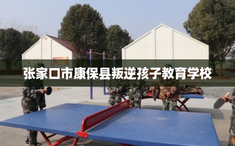 张家口市康保县叛逆孩子教育学校 张家口市康保县叛逆孩子教育学校