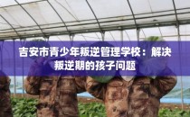 吉安市青少年叛逆管理学校：解决叛逆期的孩子问题