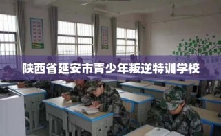 陕西省延安市青少年叛逆特训学校
