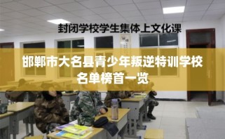 邯郸市大名县青少年叛逆特训学校名单榜首一览