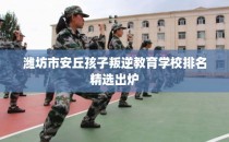 潍坊市安丘孩子叛逆教育学校排名精选出炉