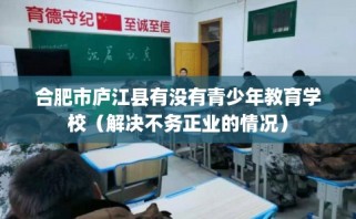 合肥市庐江县有没有青少年教育学校（解决不务正业的情况）